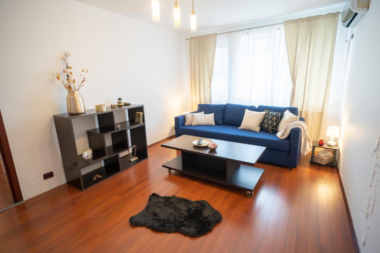 Spacious 2Br Dristor Apartment Bucureşti Ngoại thất bức ảnh